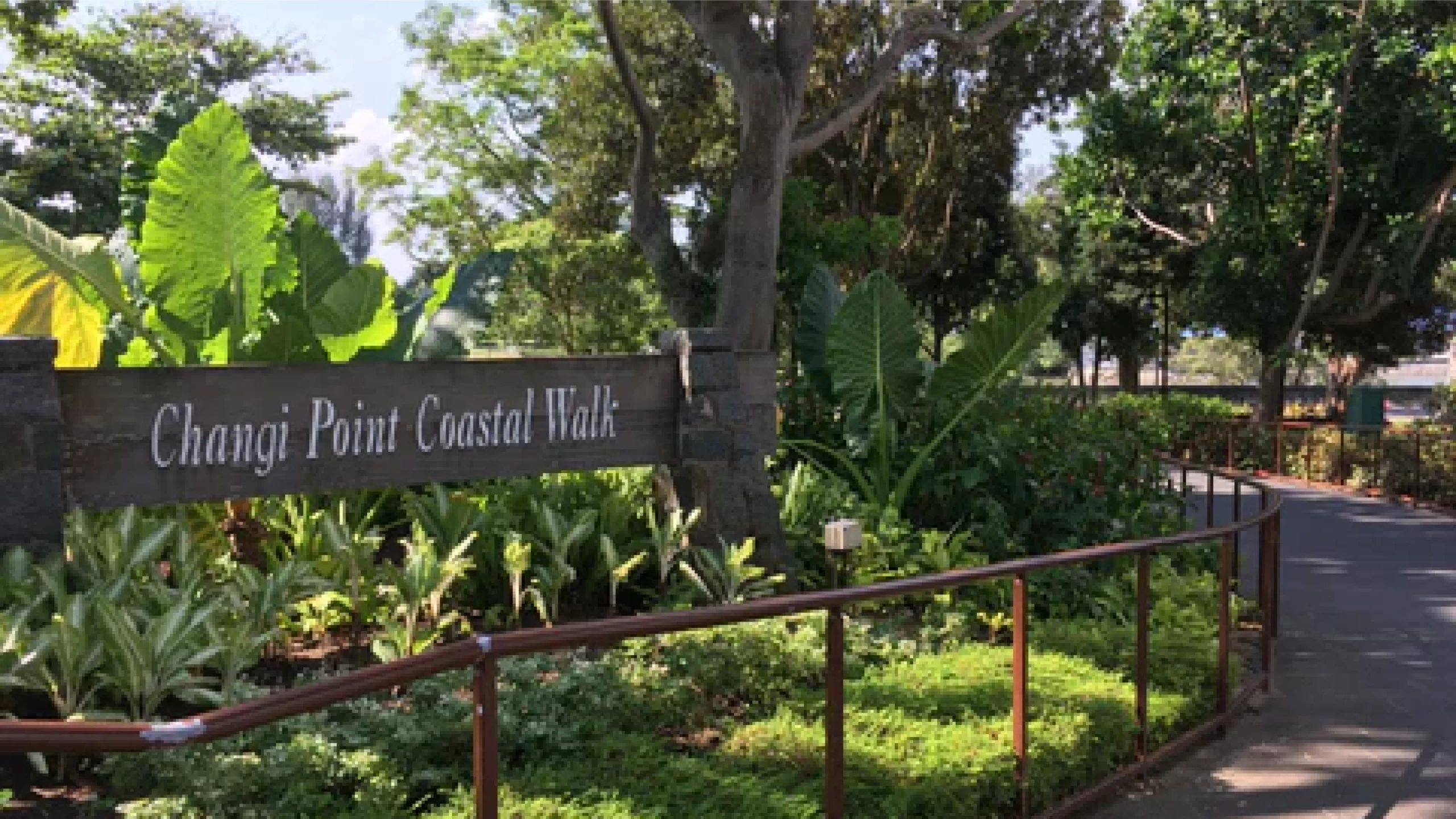 Exploring the Beauty of Changi Point Coastal Walk