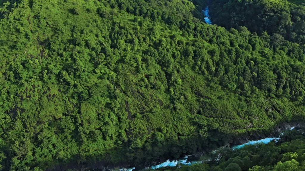 Silent Valley National Park