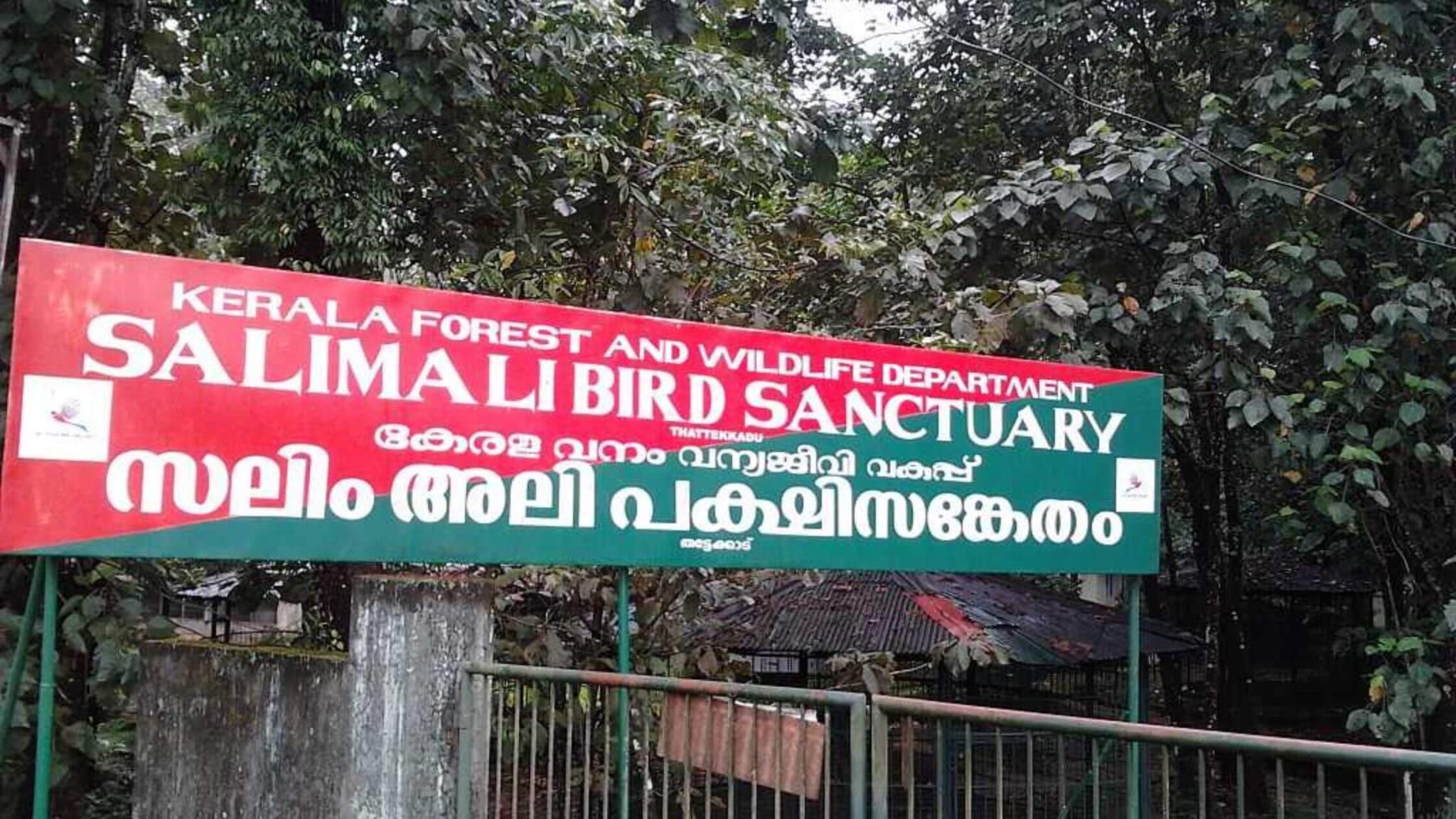Thattekad Bird Sanctuary - Everything You Need to Know