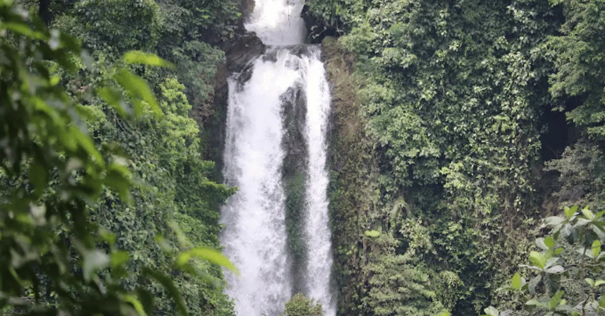 Exploring the Enchanting Beauty of Gitgit Waterfall: A Paradise in Bali