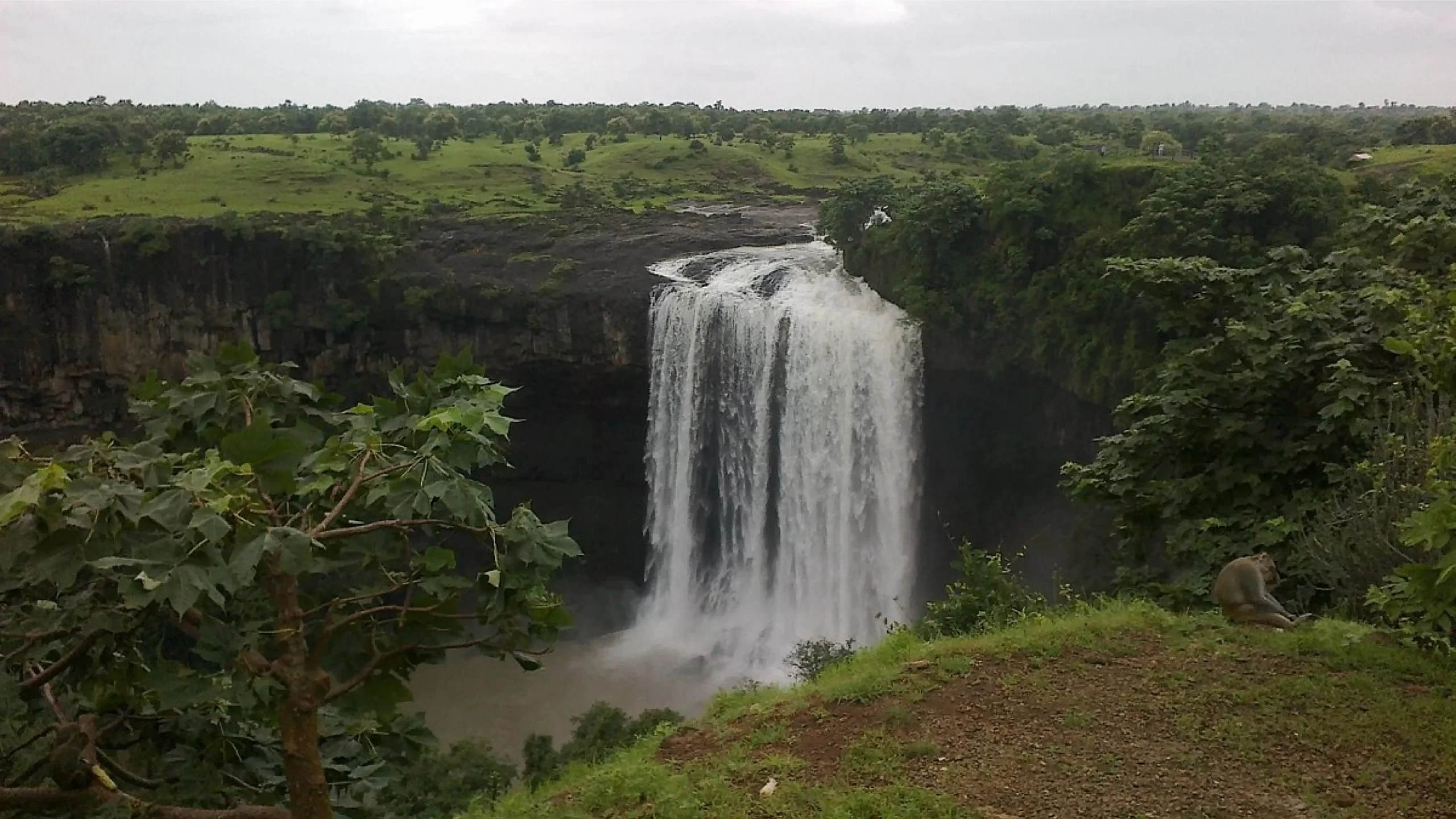 Uncover Tincha Falls – A Perfect Nature’s Beauty
