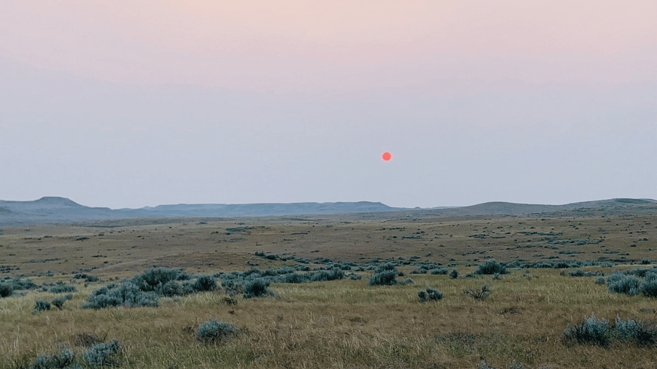 Exploring the Unspoiled Beauty: A Guide to Grasslands National Park