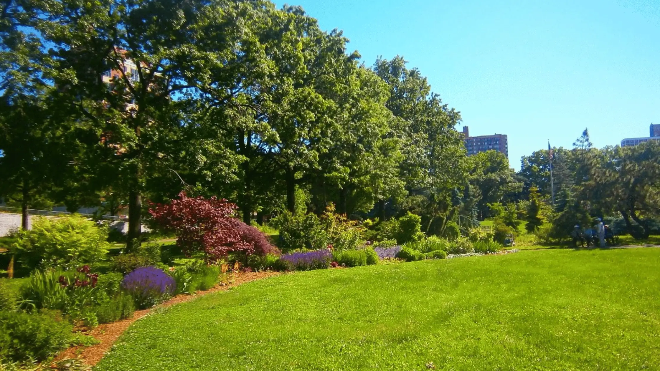 A Joyful Walk Through Queens Botanical Garden