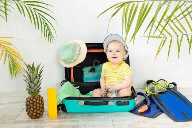 A Comprehensive Guide for Selecting the Ideal Baby Travel Bag