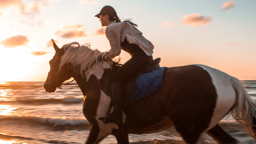 Horseback Riding on the Beach - things to do in South Padre Island