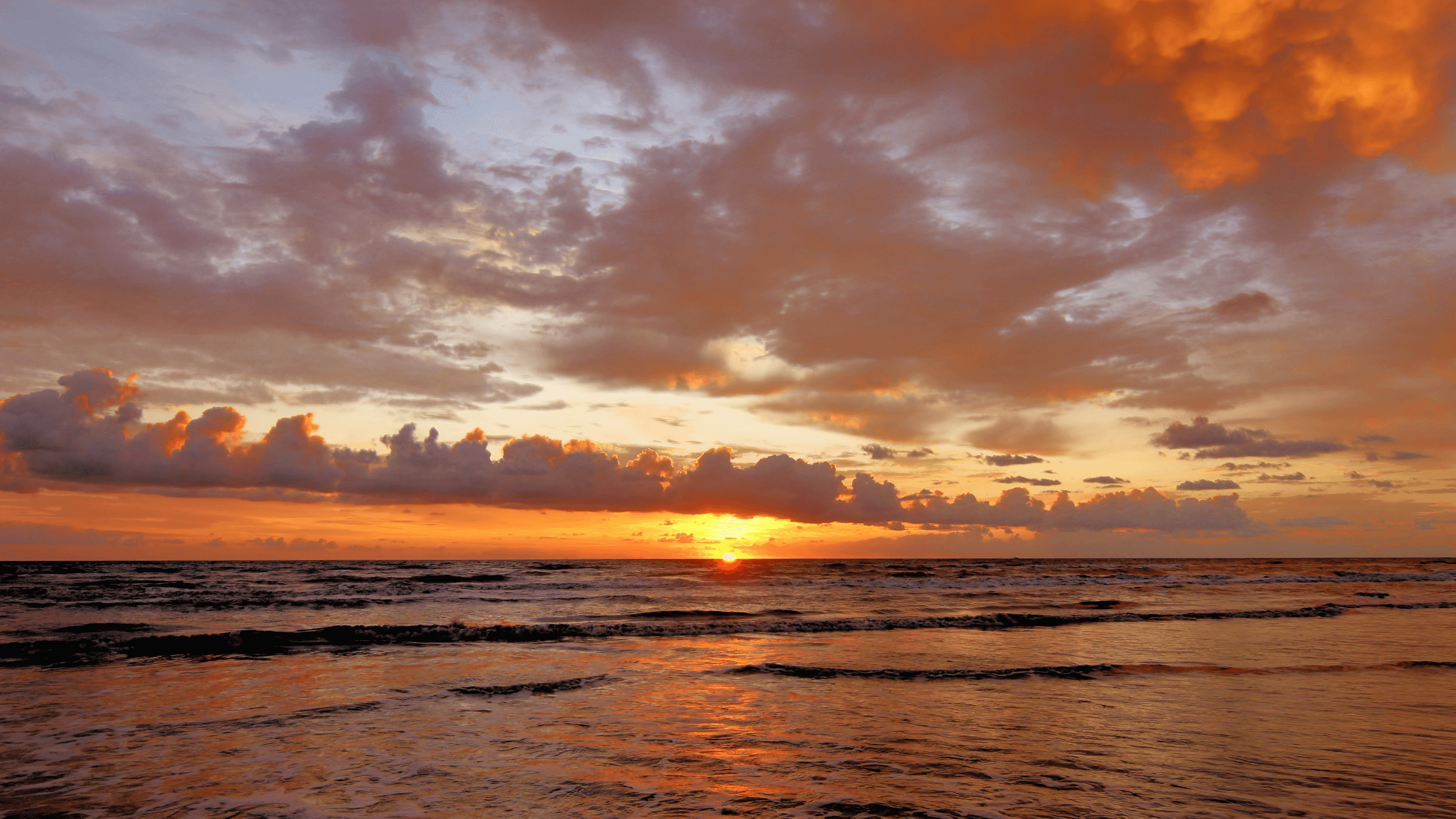 20 Popular Things to Do in South Padre Island, Texas
