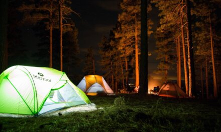 Camping in Coorg: Where Tranquility Meets Adventure