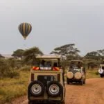 Kenya vs. Tanzania – Which is the Ultimate Safari Destination?