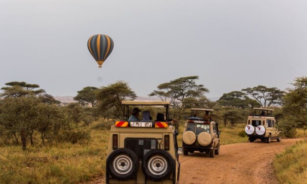 Kenya vs. Tanzania – Which is the Ultimate Safari Destination?