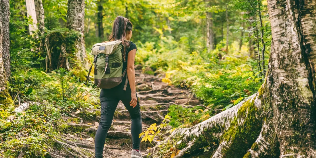 The Top 7 Trekking Destinations In India