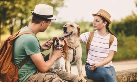 The Ultimate Guide to Traveling with Your Dog: Train Adventures Await!