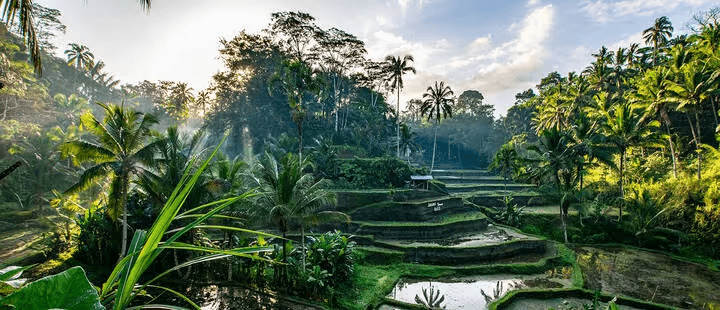 Glamping in Southeast Asia: Top 5 Picks for Nature Lovers 2 AD 4nXdZXOAJlYT7Y2D0jU2 JusPnTe9BG20lBbAGcfh1so4nem2UgLuZN DG6HKQvehwQh2vhJBgwrRE3zqY34W39J4ZfM CvRsIlazH2cy QdBmkzJFOfIBHpPP0uWTZsBriusPma6KQ
