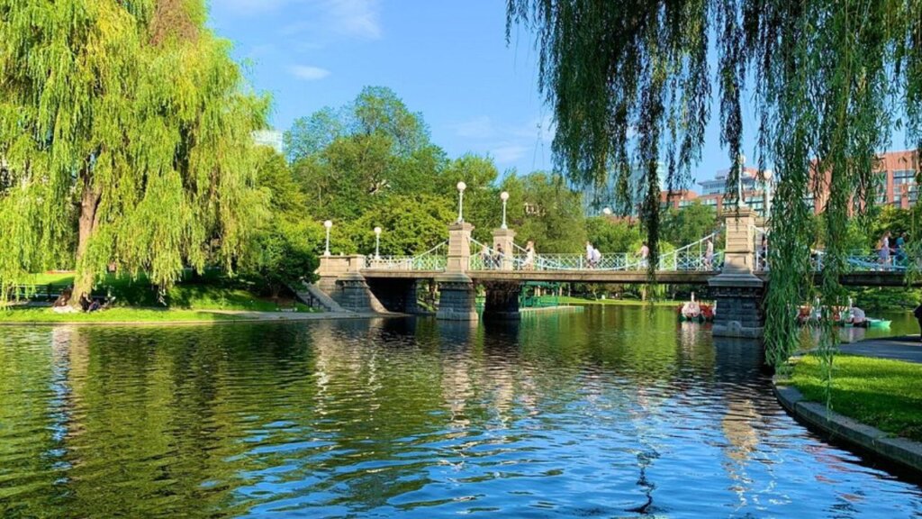 5 Unmissable Things to Do in Boston for First-Time Visitors 2 BOSTON 5