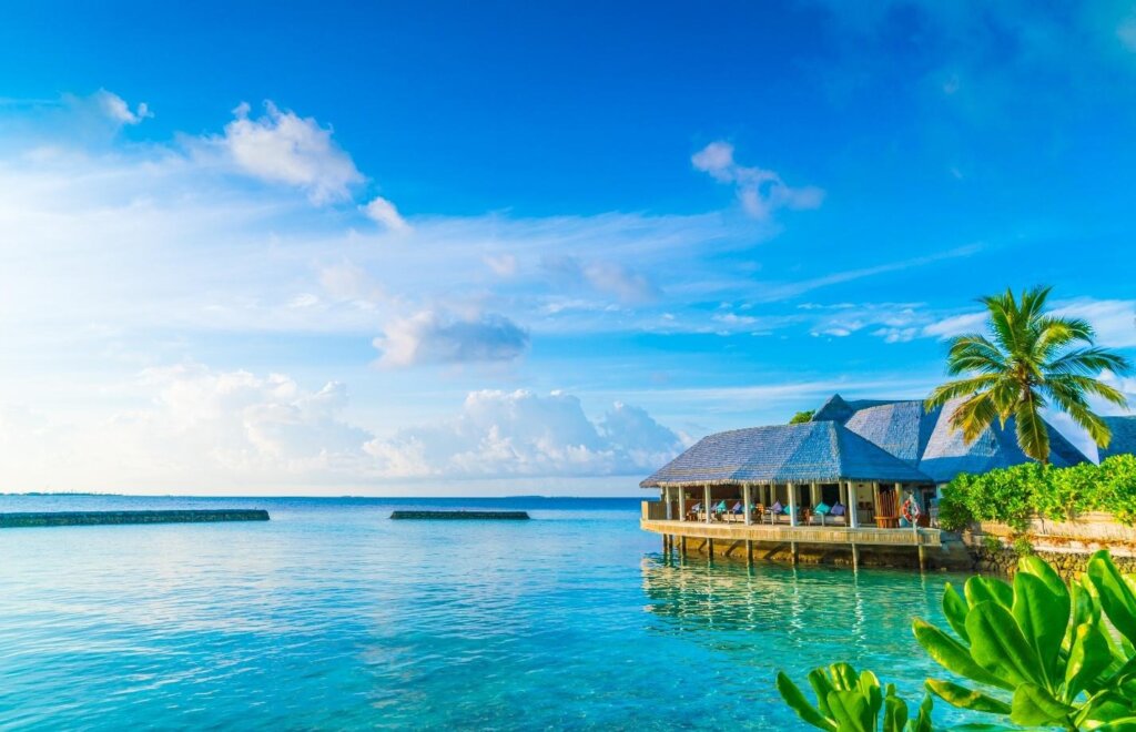 Maldives View