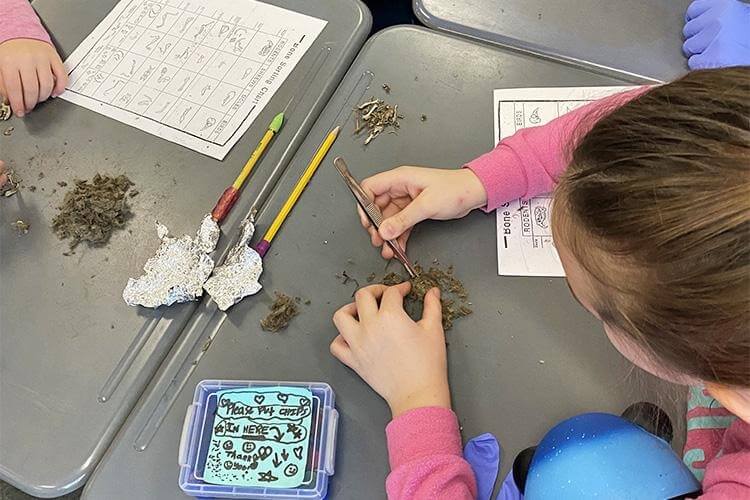 View of Interactive Exhibits